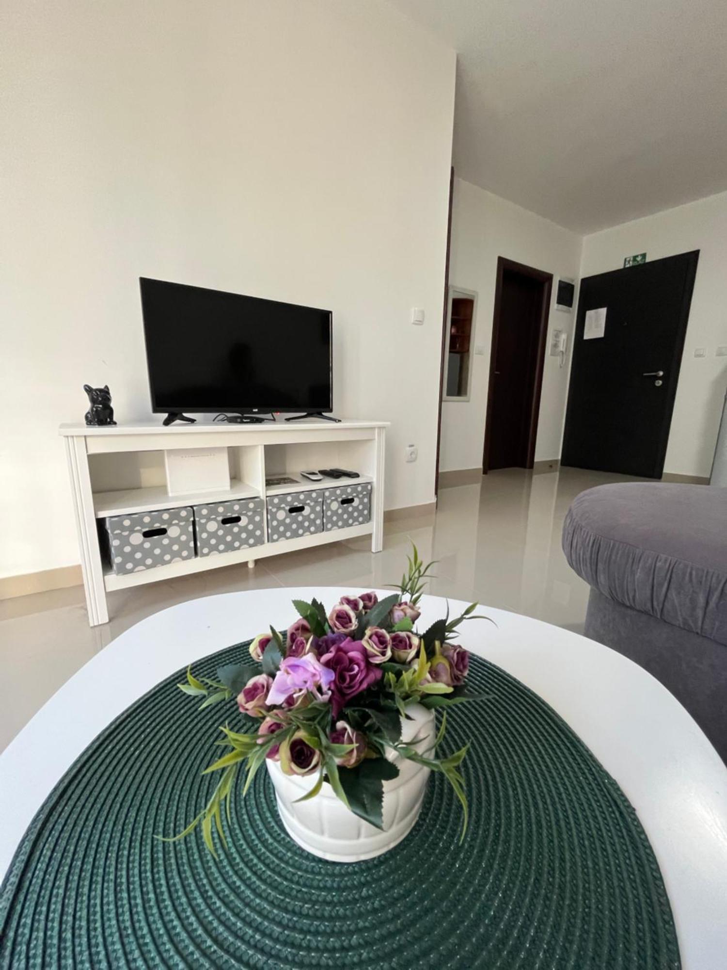 Apartman Miletic Ostrovo Extérieur photo